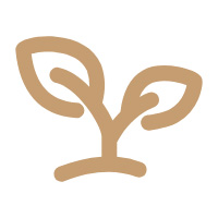 环境保护与责任